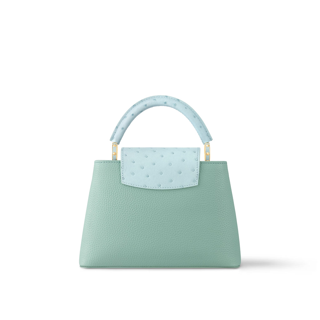 LV Capucines BB